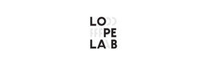 partner_design-management-partner-lopelab-300x94-1